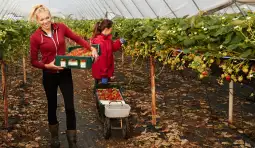 Земјоделство органска храна
